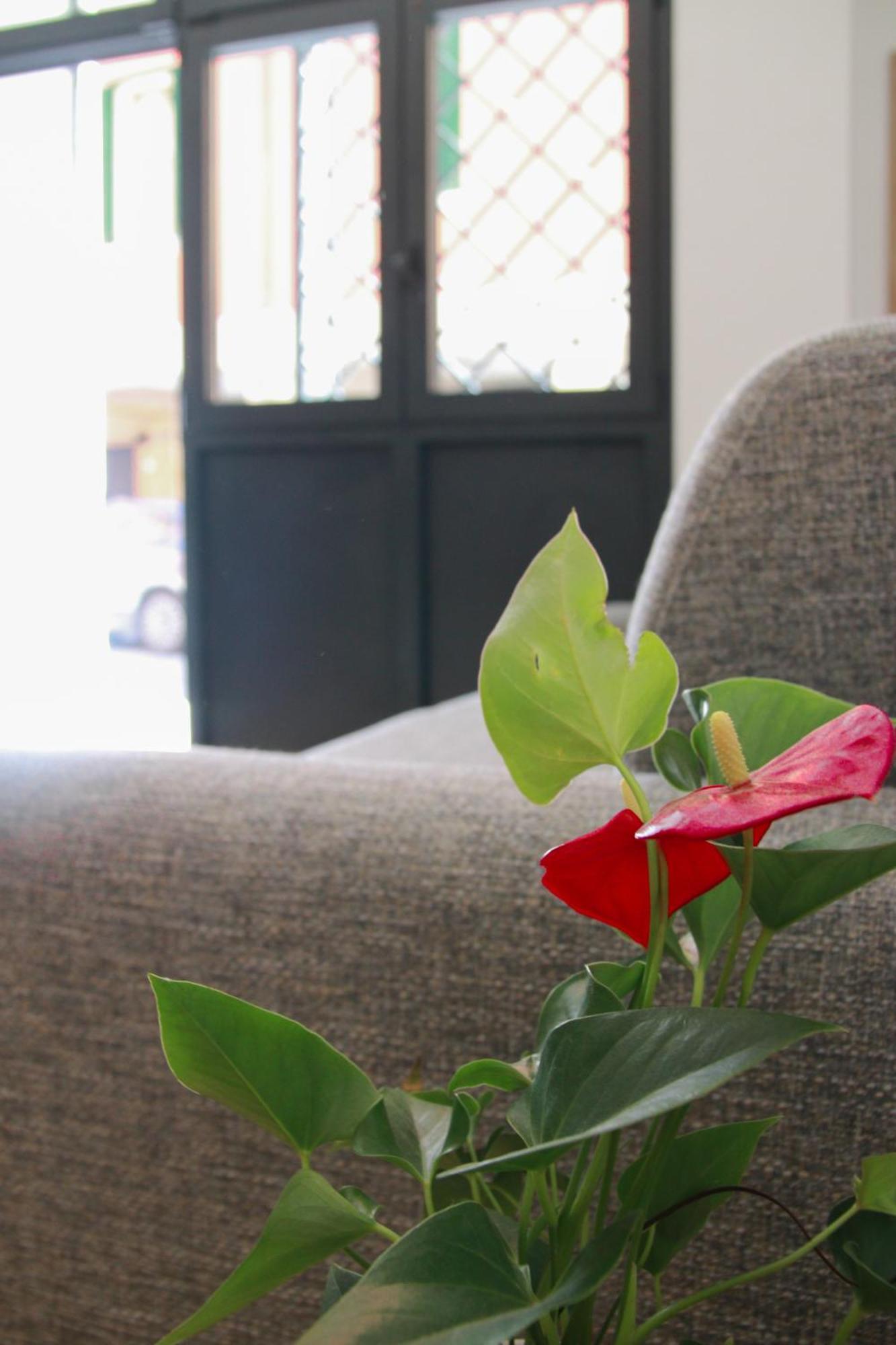 U Zone Apartment Bolonia Zewnętrze zdjęcie